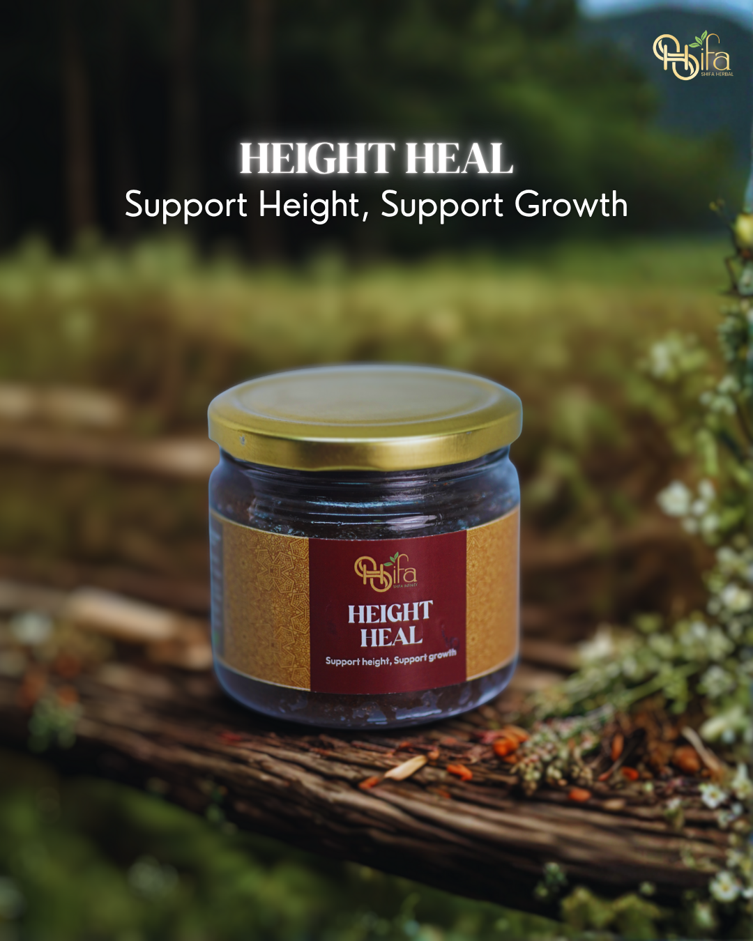 Hight Heal